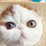 泰国三代试管婴儿的利与弊分有哪些？