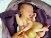 2026湖北试管婴儿医院地址详情公布！以及特卵等待时间