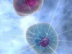 2026晋城市最新男性陪产假有多少天？试管婴儿可以增加产假吗？